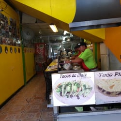 Iguana House Taqueria Pavita