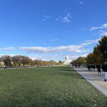 National Mall - Landmarks & Historical Buildings Near Me - Washington, DC, District of Columbia National Mall - Landmarks & Historical Buildings Near Me - Washington, DC, District of Columbia