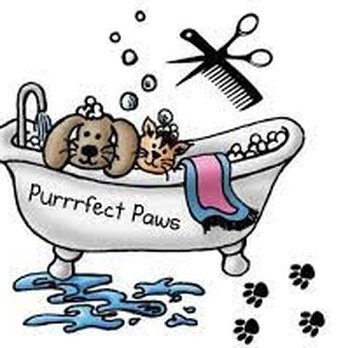 Purrrfect Paws Grooming II - Pet Stores Near Me - Walnut, California Purrrfect Paws Grooming II - Pet Stores Near Me - Walnut, California