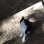 Photo of Blue Mountain Humane Society