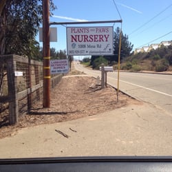 Plants and Paws Nursery