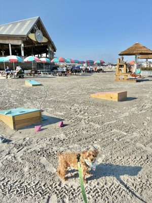 PigDog Beach & Bar by null
