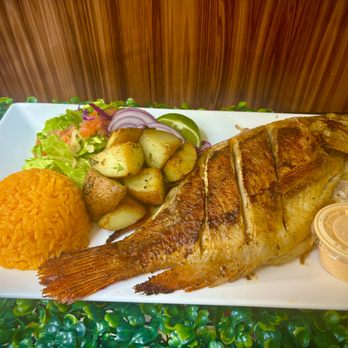 Margarita Kitchen - Coffee & Tea Near Me - New Orleans, Louisiana Margarita Kitchen - Coffee & Tea Near Me - New Orleans, Louisiana