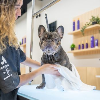 Well Groomed Pets McAllen - Pet Groomers Near Me - Mcallen, Texas Well Groomed Pets McAllen - Pet Groomers Near Me - Mcallen, Texas