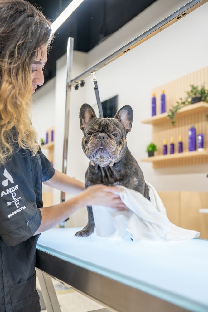 WELL GROOMED PETS MCALLEN Updated August 2024 88 Photos 6500 N