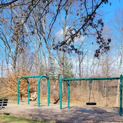 Montgomery Park - Swings