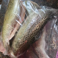 Otter Creek Trout Farm - Owner cleaned them for us! Dinner ready!!