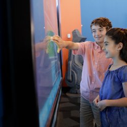 Visit Orlando - Visit Orlando Official Visitor Center