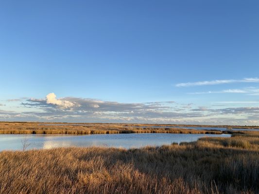 Bodie Island Lighthouse by null