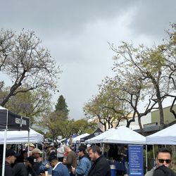 Montrose Brew Fest