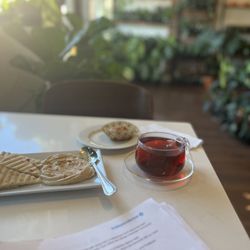 Safa Plant - Hummus and pita, hibiscus tea and Persian pastry