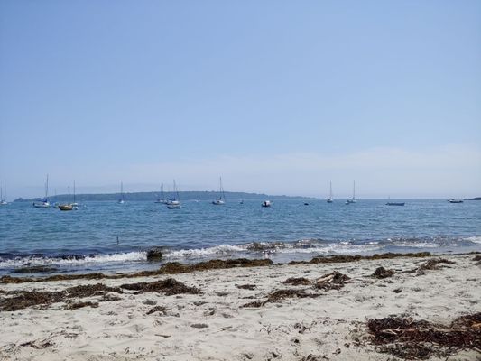 Willard Beach by null