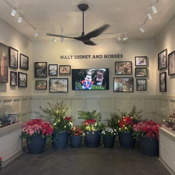 Tri-Circle-D Ranch - Horseback Riding Near Me - Orlando, Florida