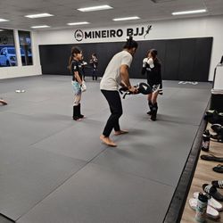 Mineiro Brazilian Jiu jitsu - Alamo - Outstanding instruction and training for Brazilian Jiu Jitsu & MMA