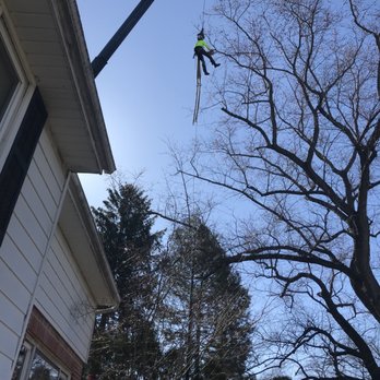 Hometown Tree & Landscaping - Landscaping Near Me Hometown Tree & Landscaping - Landscaping Near Me