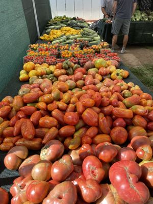 Ojai Community Farmers' Market by null