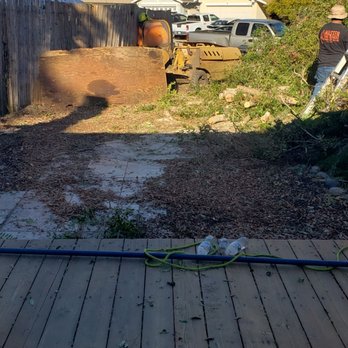 Master Tree Services - Tree Services Near Me Master Tree Services - Tree Services Near Me