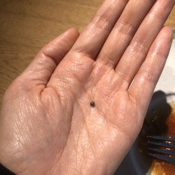 Restaurant Kadeau - The duck is wild and hunted, so if you get a special piece & bite into a pellet, they give you Schnapps! - Danish Near Me - København