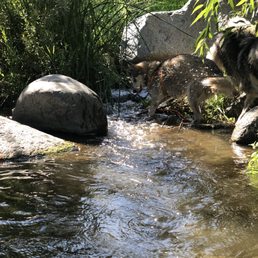 In the water In the water