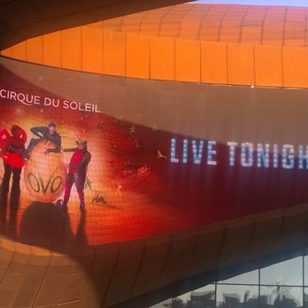 OVO: Cirque du Soleil - Performing Arts Near Me - Brooklyn, New York OVO: Cirque du Soleil - Performing Arts Near Me - Brooklyn, New York