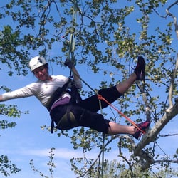 Earthjoy Tree Adventures - Climbing, swinging for everyone ages 5-95