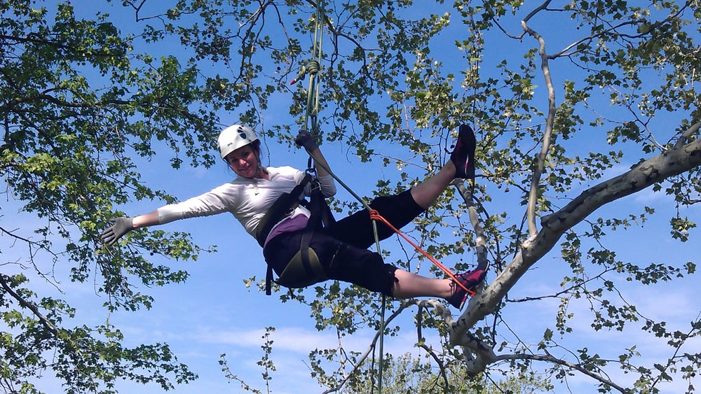 Earthjoy Tree Adventures Logo