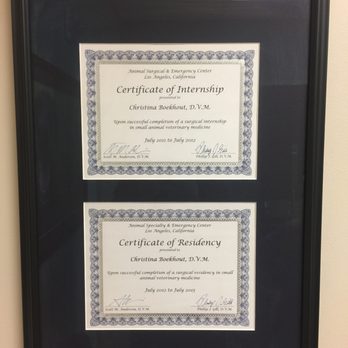 BluePearl - Midvale - Veterinarians Near Me - Midvale, Utah