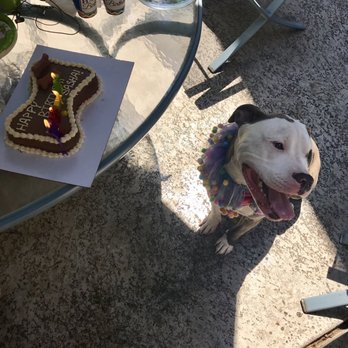 Dela's Doggy Desserts - Pet Services Near Me - West Jordan, Utah Dela's Doggy Desserts - Pet Services Near Me - West Jordan, Utah