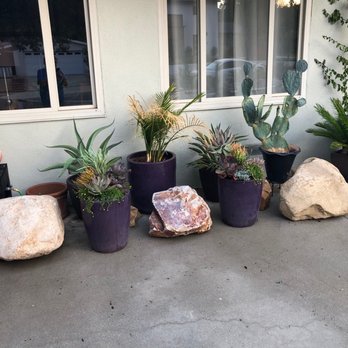 Ramy's Nursery - Nurseries & Gardening Near Me - Reseda, California Ramy's Nursery - Nurseries & Gardening Near Me - Reseda, California