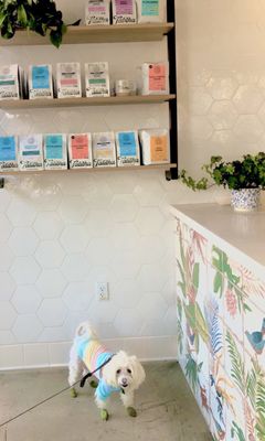 Talitha Coffee Roasters Bankers Hill by null