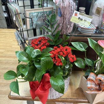 The Dizzy Daisy - Florists Near Me - Orange, California