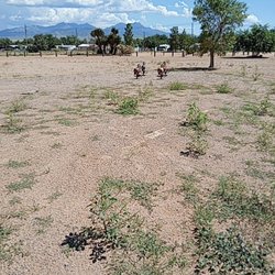 Neal Butler Park - Play area