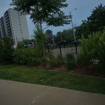 Paramount Landscaping - Landscape Architects or Designers Near Me - Carlisle, Ontario