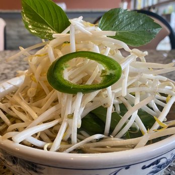 Pho Nguyen - Pho is brimming with meat and rice noodles that there's barely enough room for bean sprouts small bowl is 7 - 1/2" in diameter & 3" tall - Vietnamese Near Me - Portland, Oregon Pho Nguyen - Pho is brimming with meat and rice noodles that there's barely enough room for bean sprouts small bowl is 7 - 1/2" in diameter & 3" tall - Vietnamese Near Me - Portland, Oregon