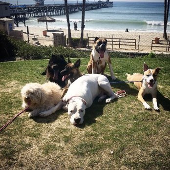 Ryan Furlet - Pet Training Near Me - San Clemente, California Ryan Furlet - Pet Training Near Me - San Clemente, California