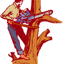 Betancourt Gardening Service - Tree trimming