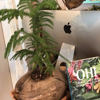 Paiko - Florists Near Me - Honolulu, Hawaii