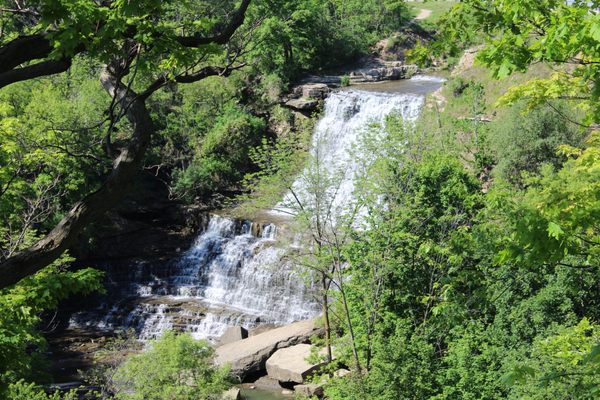 Albion Falls by null