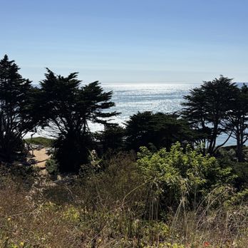 Moss Beach Distillery - Seafood Near Me - Moss Beach, California