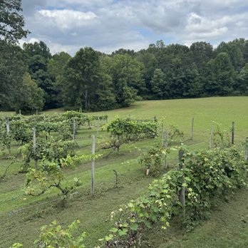 Rebec Vineyards - Wineries Near Me - Amherst, Virginia