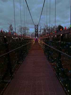 SkyBridge Michigan by null