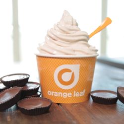 Orange Leaf Frozen Yogurt