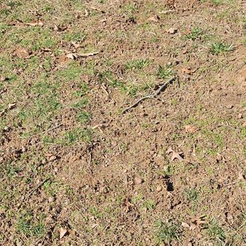 Godspeed Tree Service - Damage done by the equipment they use . - Tree Services Near Me - Winston-salem, North Carolina Godspeed Tree Service - Damage done by the equipment they use . - Tree Services Near Me - Winston-salem, North Carolina