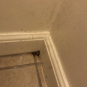 Able Property Management - Restroom mold & rust - Property Management Near Me - Bakersfield, California
