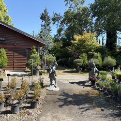 Bushnell Gardens Nursery - Gorgeous plants and statues