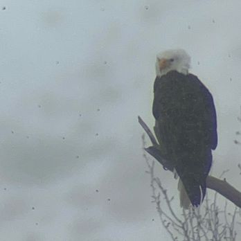 Yellowstone Day Tours - Tours Near Me