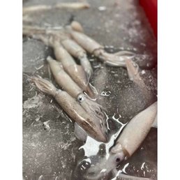 Squid via the Instagram Squid via the Instagram