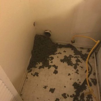 BTE Cleaning Services - Lint from our dryer vent - Home Cleaning Near Me BTE Cleaning Services - Lint from our dryer vent - Home Cleaning Near Me