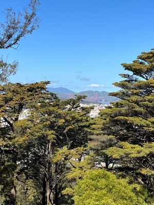 Buena Vista Park by null