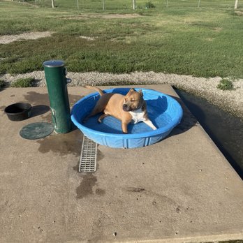 Chapin Dog Park - Water spout made it easy and quick to fill the pool! - Dog Parks Near Me - Wichita, Kansas Chapin Dog Park - Water spout made it easy and quick to fill the pool! - Dog Parks Near Me - Wichita, Kansas